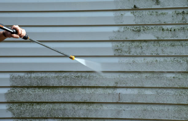 Professional Pressure Washing Services in Bodega Bay, CA